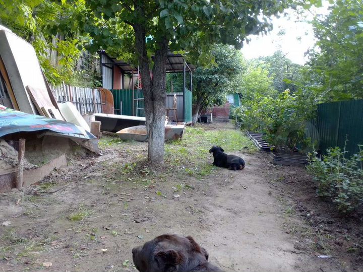 Дача 30 м² на участке 4 сот.