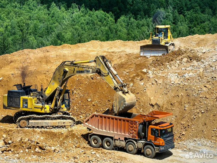 Песок тараканом