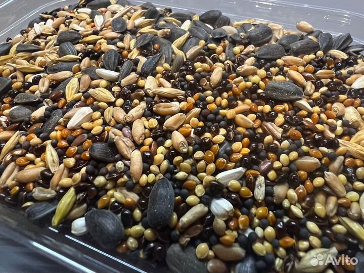 Корм для птиц