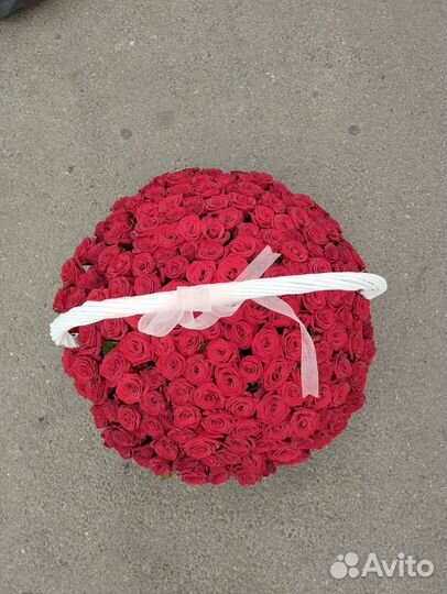 101 и 201 роза в корзине
