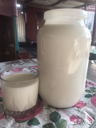 Козье молочко телочка4 месяца сено