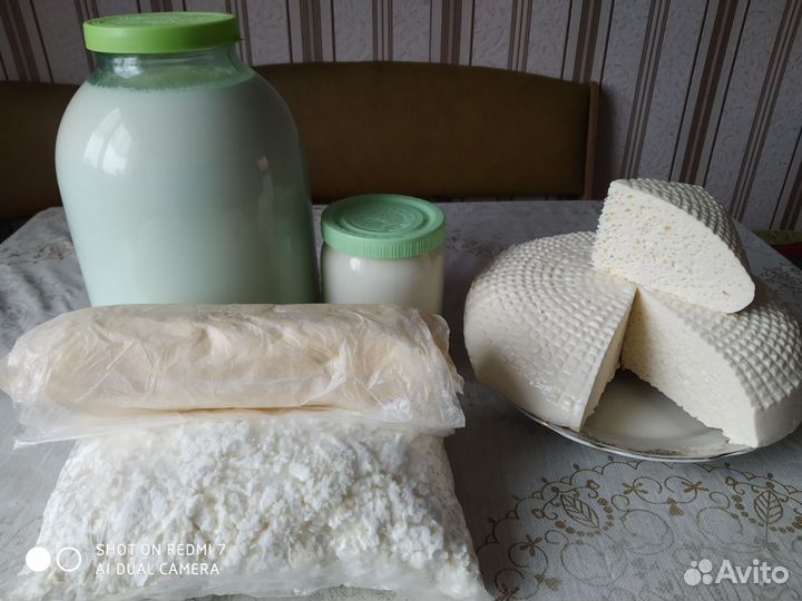 Молоко, сыр, масло,сливки,творог