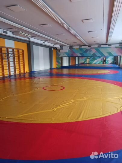 Спортивный зал с матами в аренду