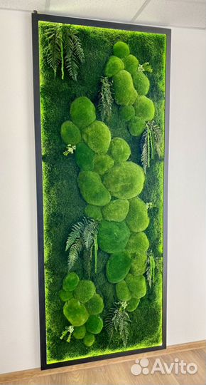 Мох. Вертикальное озеленение. Фитостена. Декор