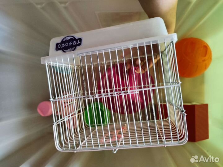 Дом для хомяка