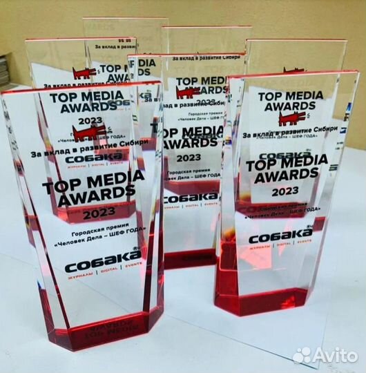 Награды / Призы / Под заказ из стекла
