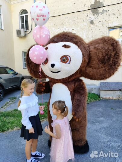 Большой белый медведь из тик тока и другие