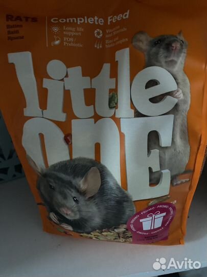 Декоративные крыски