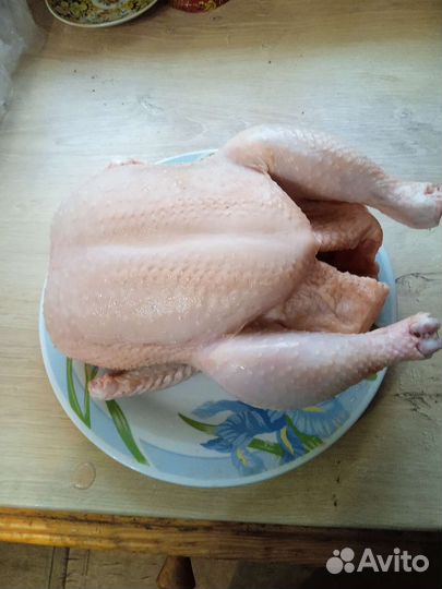 Мясо домашней курицы