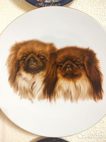 Тарелка настенная,собаки.Чехия