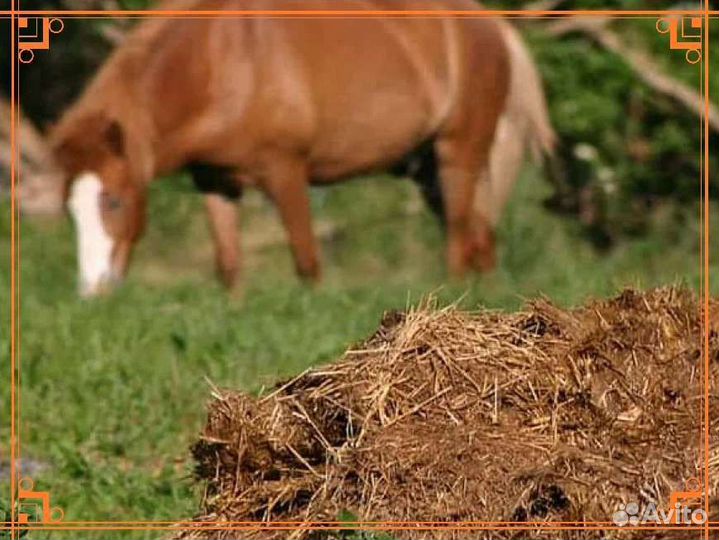 Конский навоз,перегной доставка навалом и в мешках