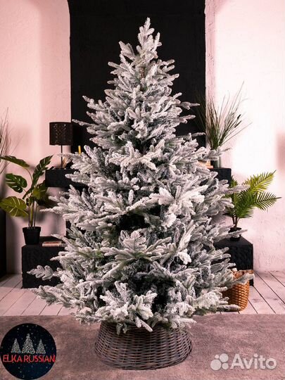 Елка зансеженная премиальная