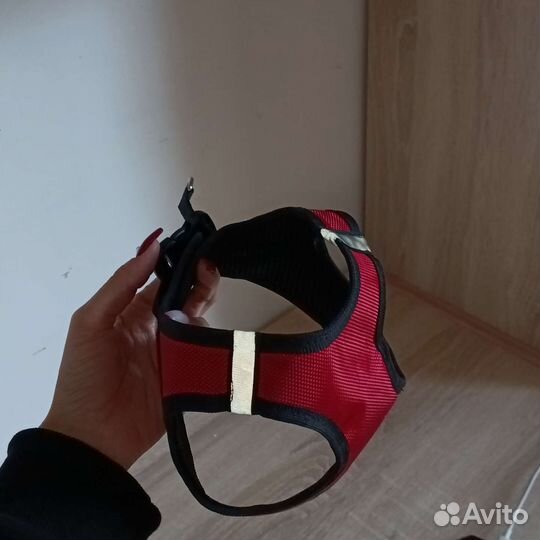 Шлейка для небольшой собаки