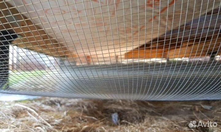 Сетка сварная оцинкованная от грызунов 6х6х0,6