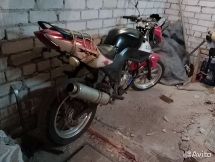 Ямасаки скорпион 2