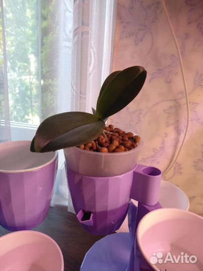 Стойки под цветы