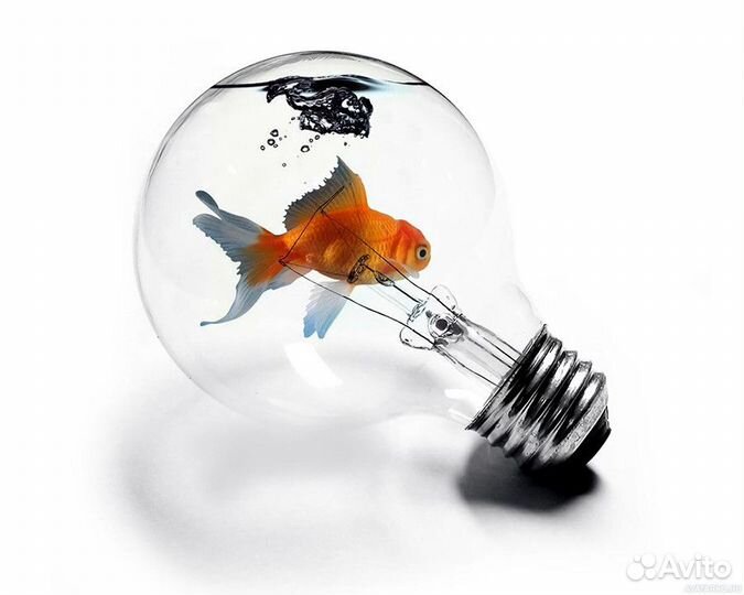 Профессиональный электрик из электросетей