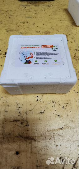 Рыболовный червь дендробена зеленый, Венета green