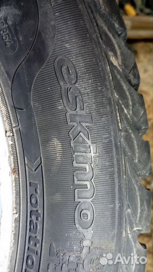 Sava Eskimo Stud 205/55 R16