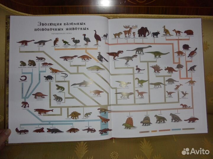 Атлас исчезнувших животных Ник.Кухарская Речь 2022