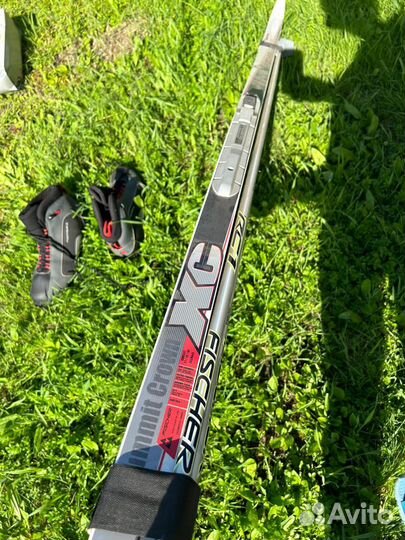 Беговые лыжи