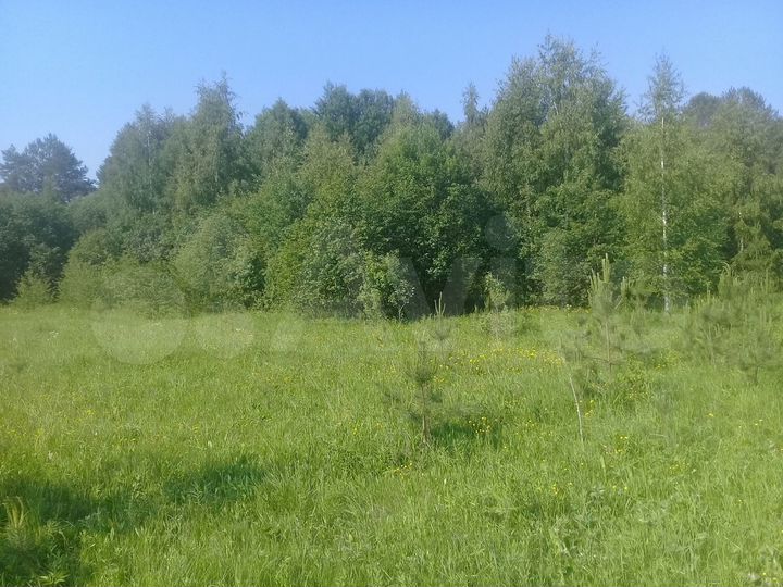 Участок 22 га (СНТ, ДНП)