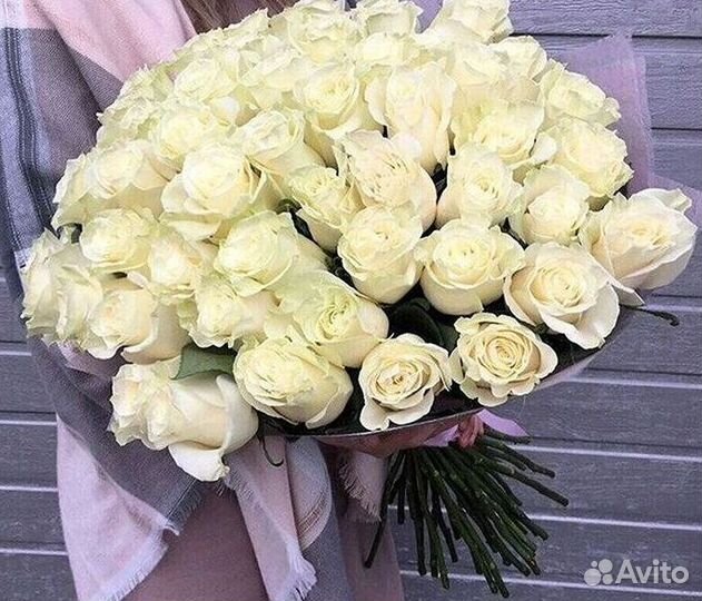 Розы Букеты Цветы Розы 31 101 151 201 Доставка