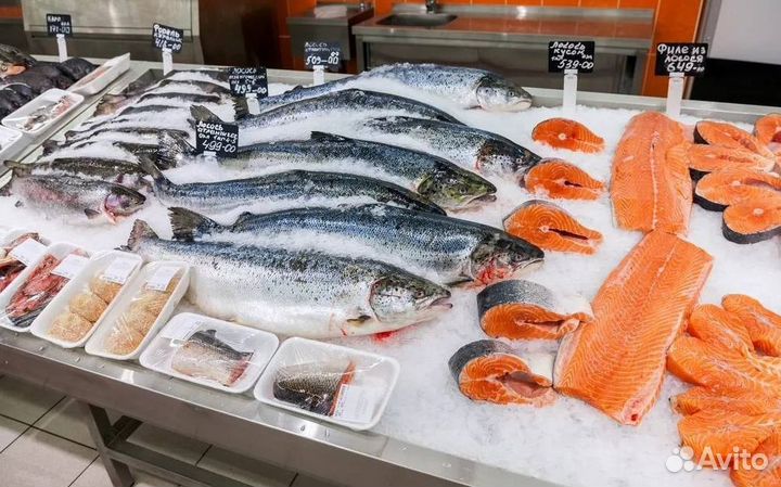 Магазин рыбы с ассортиментом деликатесов