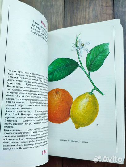 Ботанические книги специи, растения