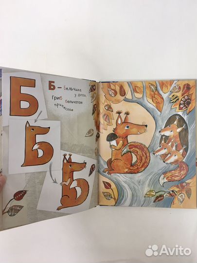 Азбука превращений, Дарья Герасимова