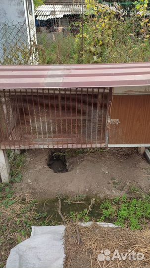 Клетка для кролика или нутрии