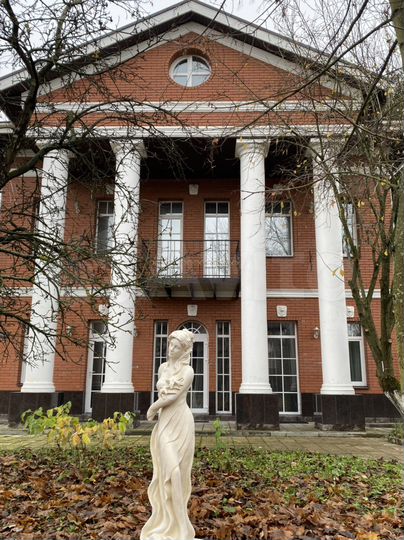 Коттедж 238,4 м² на участке 10 сот.