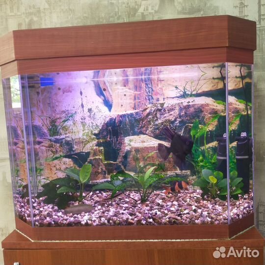 Аквариум с тумбой