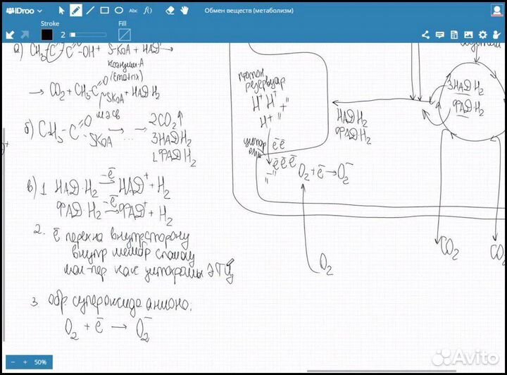 Репетитор по химии и биологии