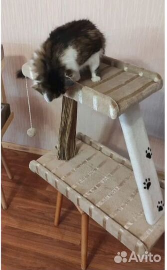 Когтеточка домик для кошки можно с доставкой