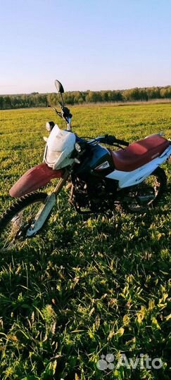 Ирбис ттр250