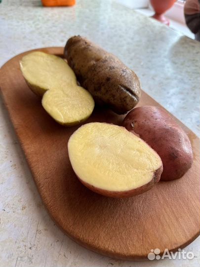 Картофель домашний