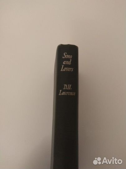 Сыновья и любовники. Дэвид Герберт Лоуренс
