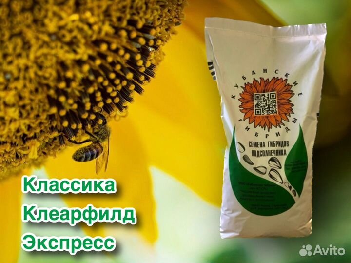 Гибриды подсолнечника от производителя