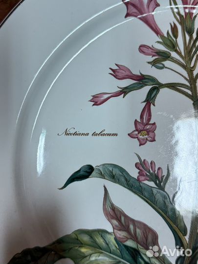 Villeroy boch botanica блюдо под горячее