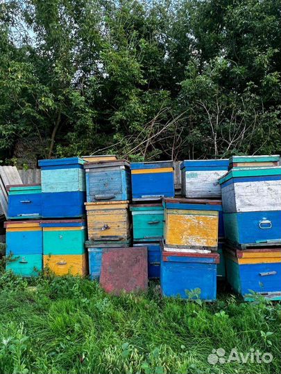Улья для пчел бу