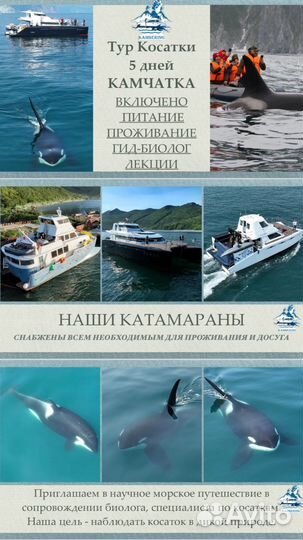 Тур Косатки 2025