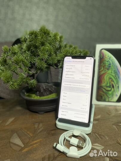 iPhone Xs Max, 256 ГБ