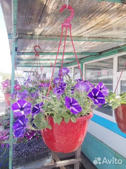 Кашпо подвесное, кашпо для цветов, кашпо для дачи