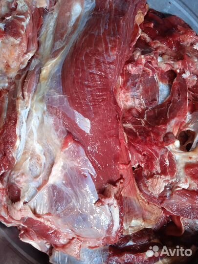 Мясо говядина для собак