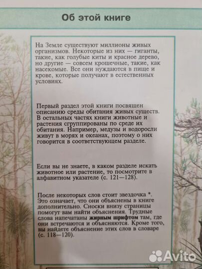 Книги для школьников