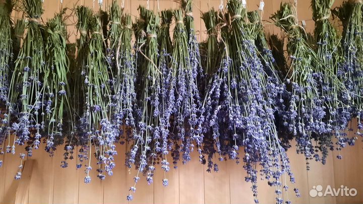 Лаванда в букете