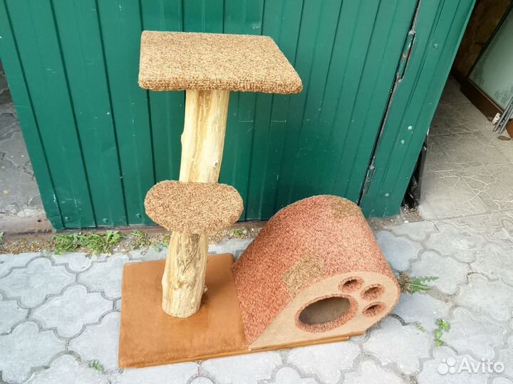 Когтеточки разные