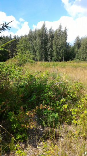 Участок 22 сот. (ИЖС)