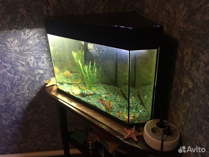 Аквариум